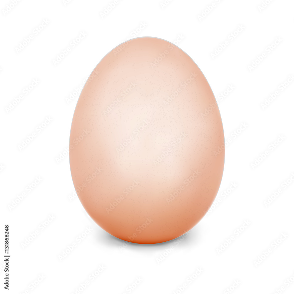 Chicken Egg. Isolated On White Background. Realistic Blank Of Natural Ecological Product. Dietary . Easter Symbol. Template For Your Design. Photo Vector Illustration Chicken Egg. Isolated On White Background. Realistic Blank Of Natural Ecological Product. Dietary . Easter Symbol. Template For Your Design. Photo Vector Illustration