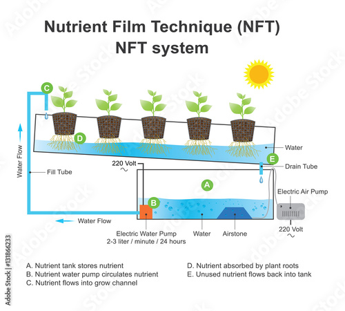 nutrient film technique system.