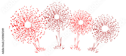 fête célébration feu d'artifice