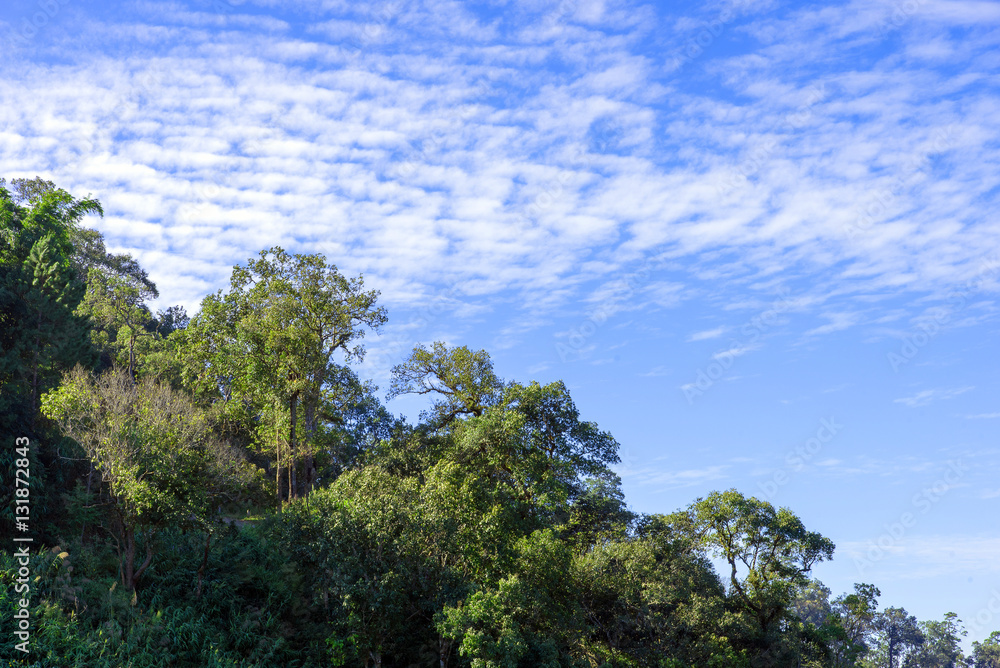 Beautiful mountains landscape and blue sky Beautiful mountains landscape and blue sky