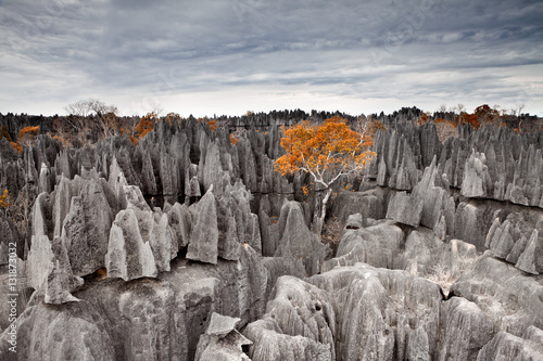 Tsingy de Bemaraha. Madagascar. photo
