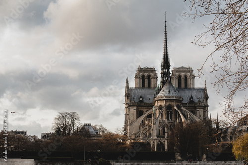 Notre Dame de Paris in Paris France © wwyloeck