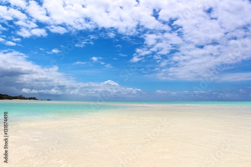 White Sanded Beach Near a Tropical Forest - Zanzibar