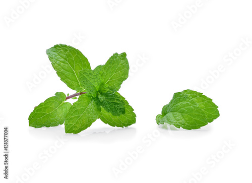 Fresh mint leaves isolated on white background