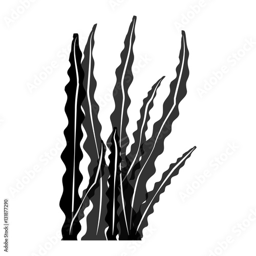 seaweed icon over white background. vector illustration
