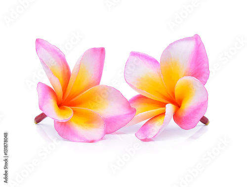 frangipani flower isolated on white background © akepong srichaichana