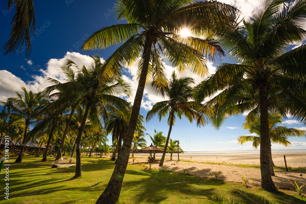 Beach on Fiji - Viti Levu - Oceania Beach on Fiji - Viti Levu - Oceania