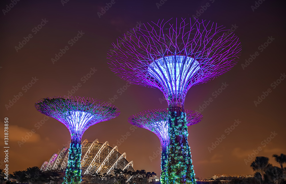 Fototapeta premium Gardens by the Bay Singapur
