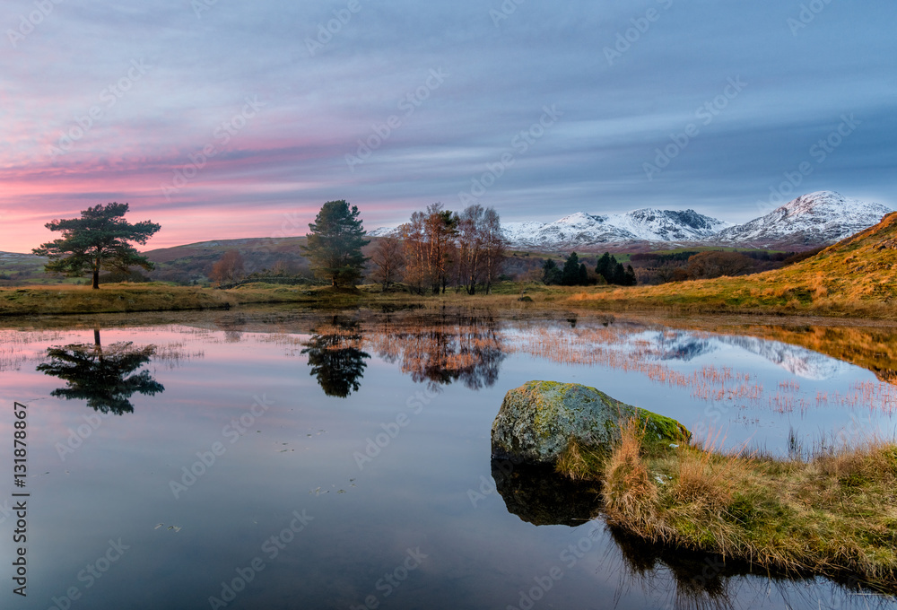 Calm pink sunset with reflections at Kelly Hall Tarn in the Lake District with snow on the Old Man Of Coniston.