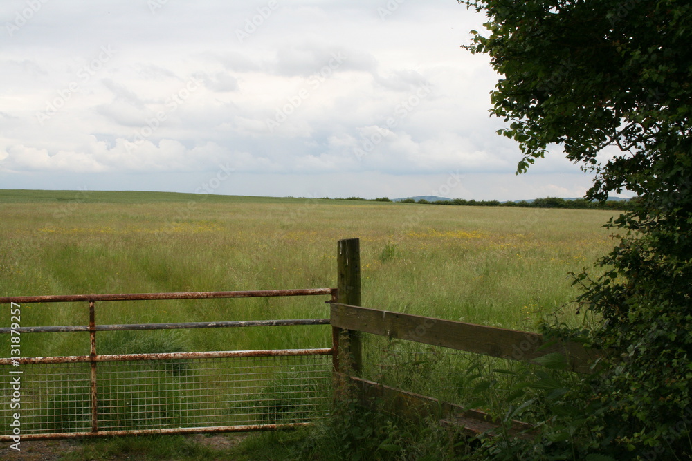 Countryside field with gate