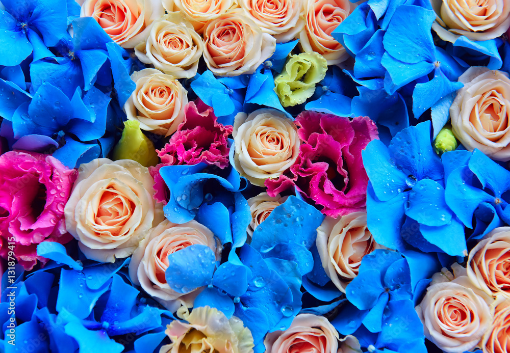 background of flowers - roses, eustomy, blue hydrangeas. gentle lovely colorful buds.
