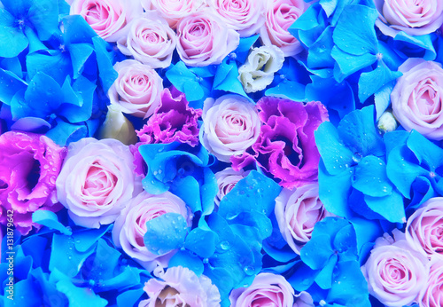 background of flowers - roses  eustomy  blue hydrangeas. Soft focus blur. gentle lovely colorful buds.  