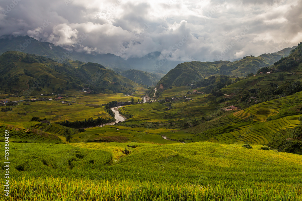 Green valley with rice fields