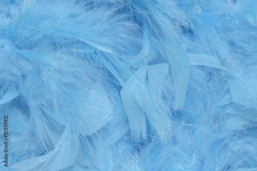 blue feathers © treerasak