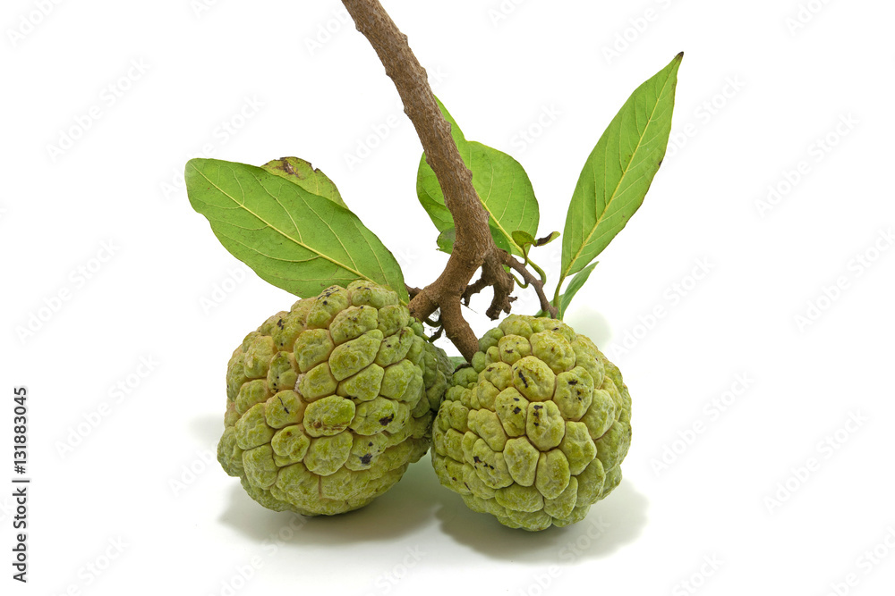 Custard apple on white background. Custard apple on white background.