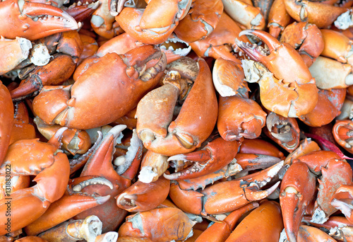 Pincers claw crab seafood. © atsawin1002