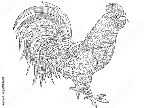 Cock coloring book vector for adults