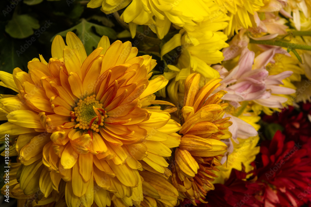 bouquet of colorful autumn flowers bouquet of colorful autumn flowers