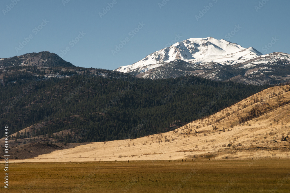 Four layers landscape, from arid desert, to a pine wood, to the sharp top of a snowy mountain.