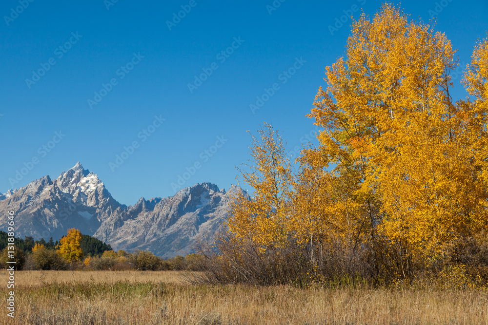 Scenic Teton Landscape in Fall