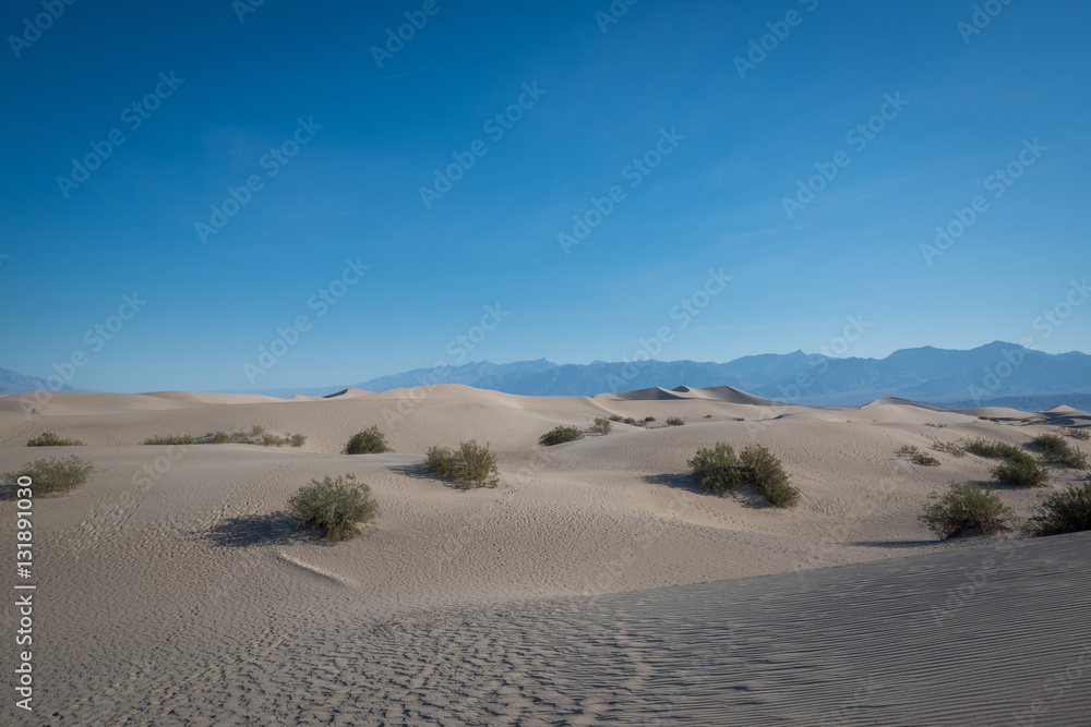 Mesquite Flat Sand Dunes 