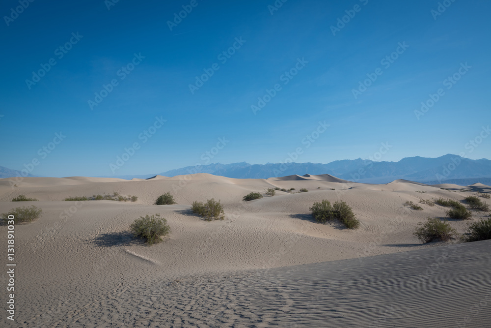 Mesquite Flat Sand Dunes Mesquite Flat Sand Dunes
