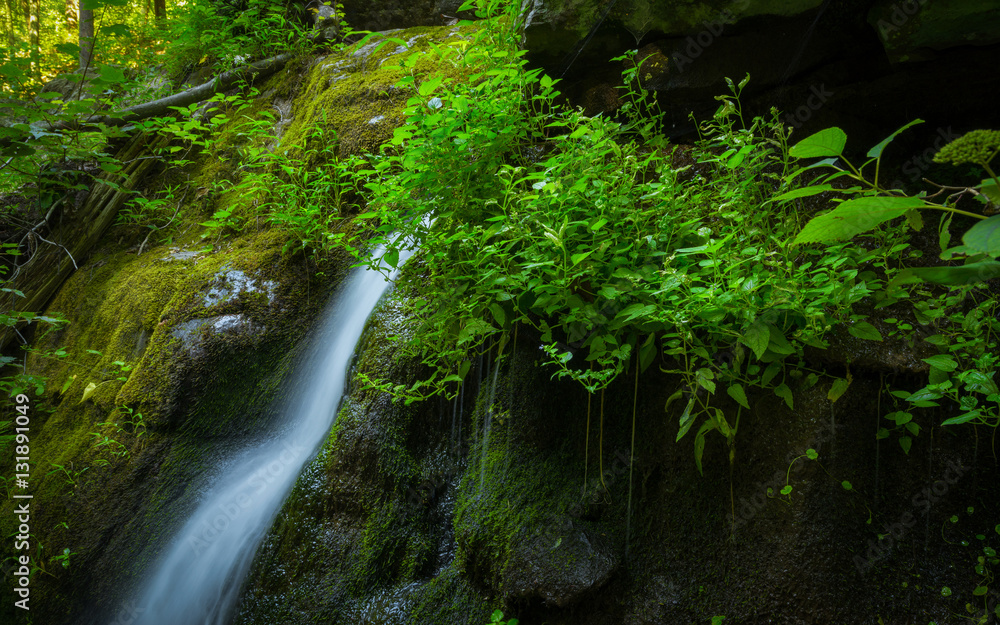 Lush green moss surrounding a waterfall Lush green moss surrounding a waterfall