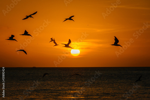 Sunset scene in Key West, FL © Alex Berger