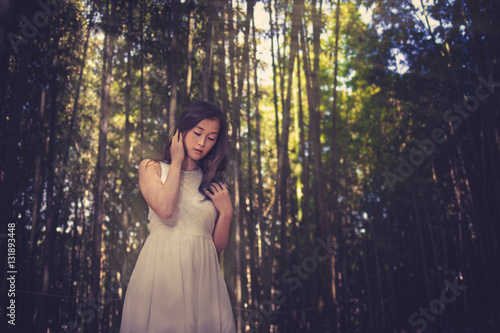 Bamboo Forest Model photo