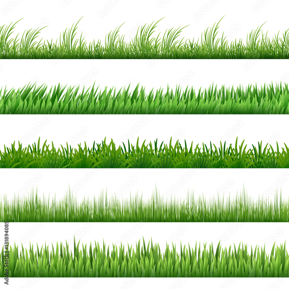 Fototapeta Green grass pattern set. Vector macro borders isolated on white background