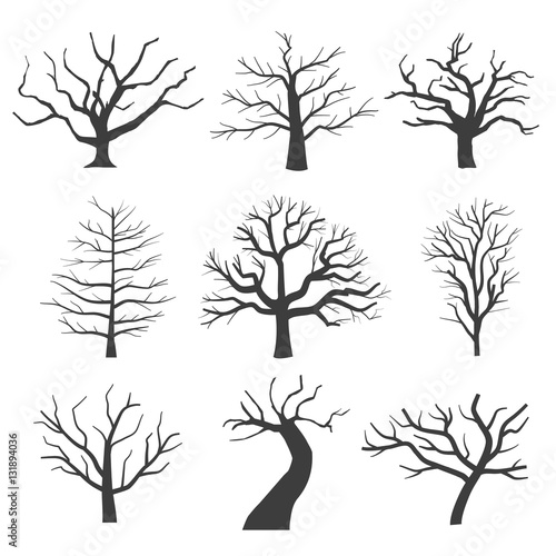 Dead tree silhouettes. Dying black scary trees forest vector illustration