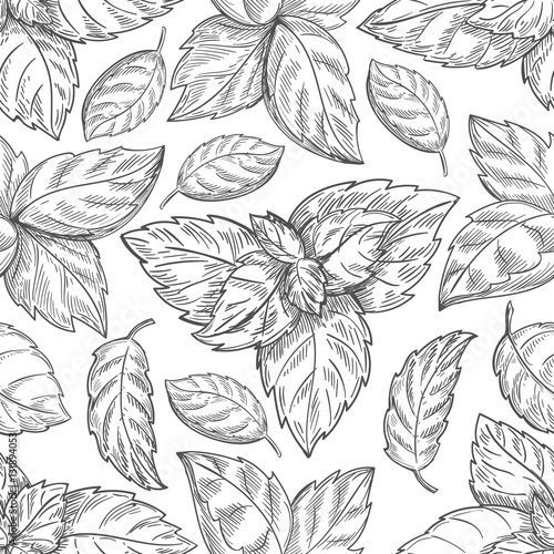 Mint leaf pattern. Peppermint leaves sketch vector background for tea wrapping paper