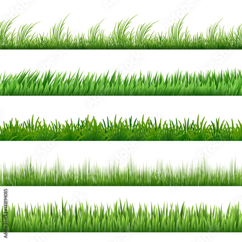 Green grass pattern set. Vector macro borders isolated on white background