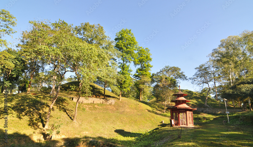 Obraz premium Maidams - tumuli of the royalty and aristocracy of the medieval Ahom Kingdom in Assam, India 
