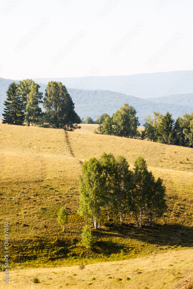 Fototapeta premium Romanian mountain landscape