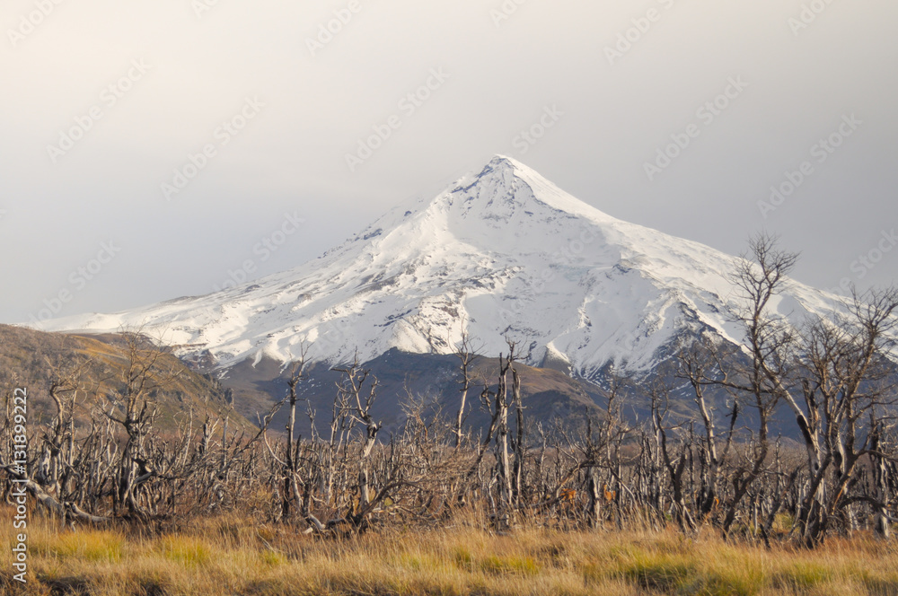 Volcano Lanin, Patagonia, Neuquen, Argentina