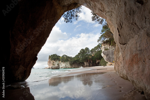 Cathedral cave  Coromandel forest park  New Zealand