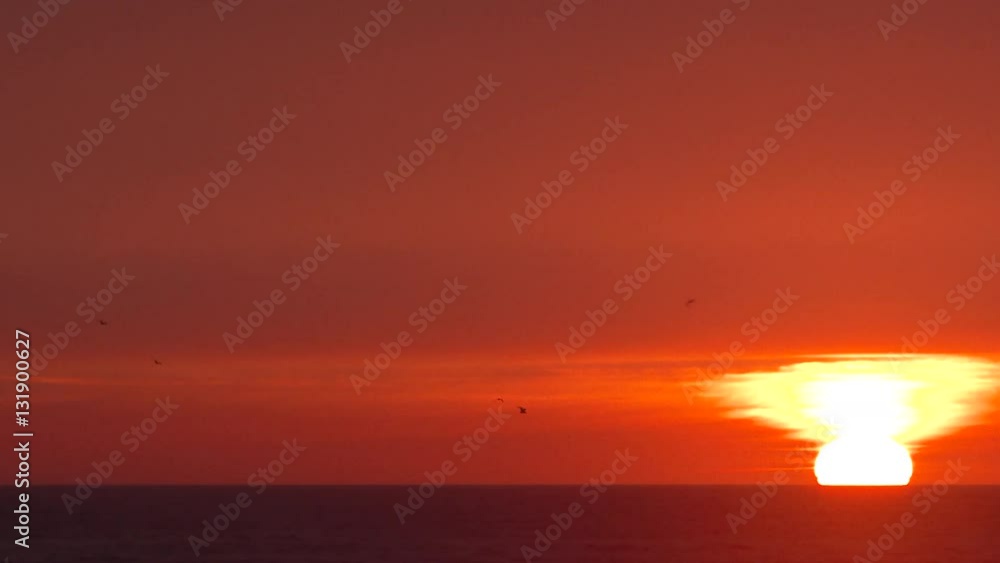 Birds flying over the Pacific Ocean in Long Beach, Washington during sunset with smoke layer above horizon from near by forest fires. Birds flying over the Pacific Ocean in Long Beach, Washington during sunset with smoke layer above horizon from near by forest fires.