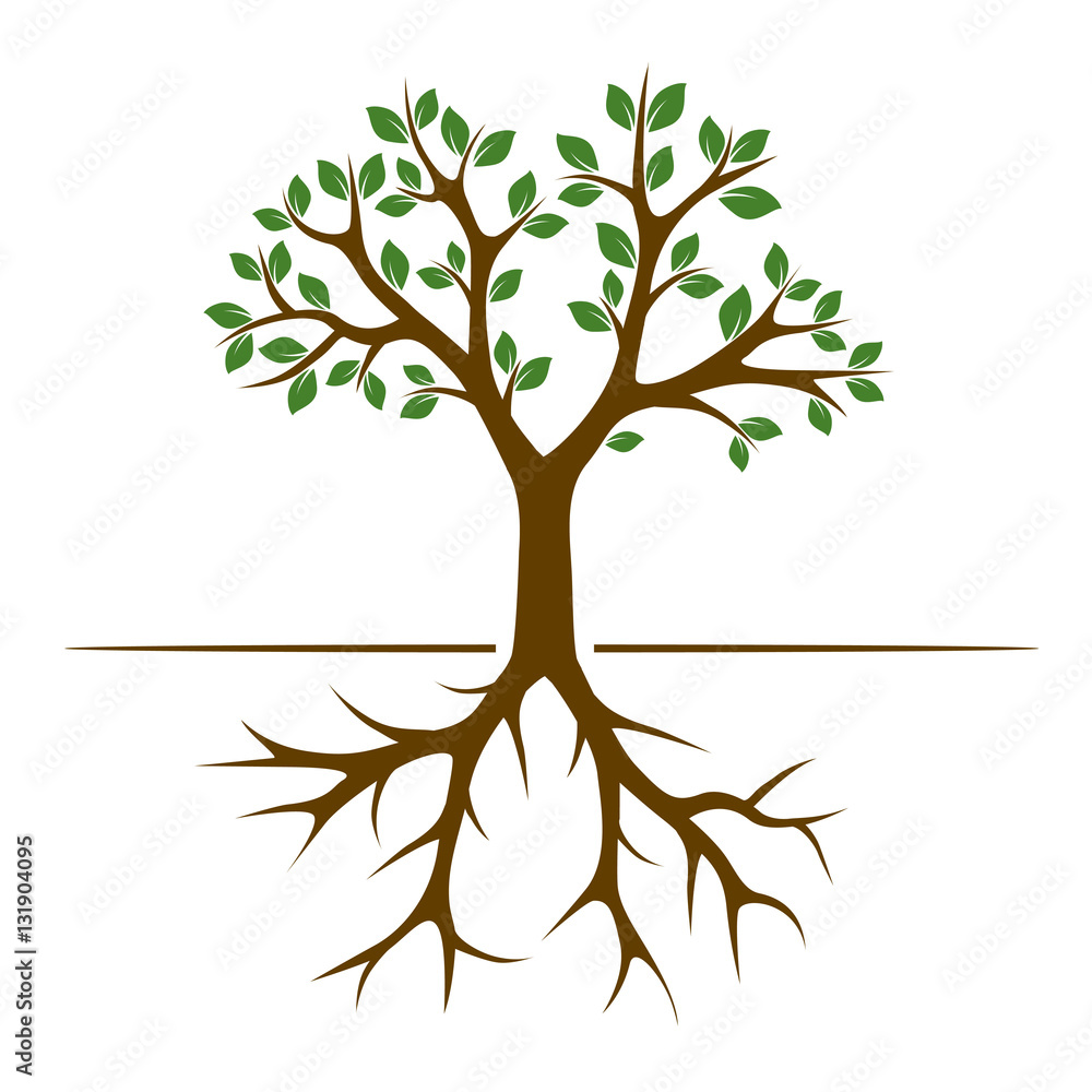 Fototapeta premium Color Tree and Roots. Vector Illustration.