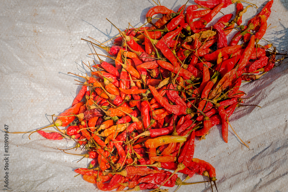 Fototapeta premium spicy chili
