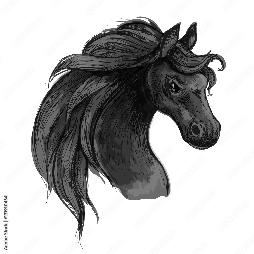 Horse art portrait. Mustang with raging eyes. Horse art portrait. Mustang with raging eyes.