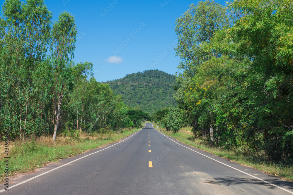 Country Road With Trees Beside in rural area. Nature and green.