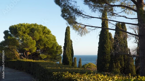 Wallpaper Mural Cypresses on a background of blue sky and sea Torontodigital.ca