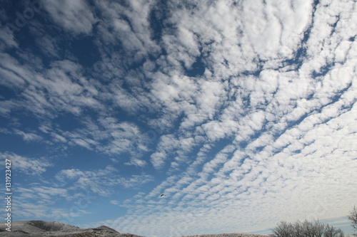 Winter Landscape