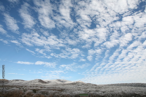 Winter Landscape