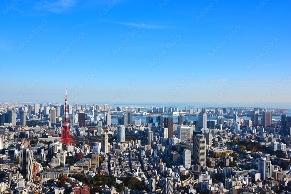 Fototapeta premium 東京の風景