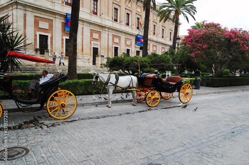 Coches de Caballos en Sevilla