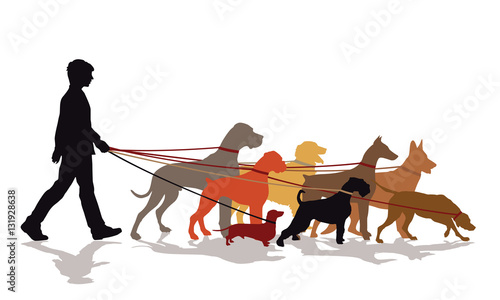 Hundeservice