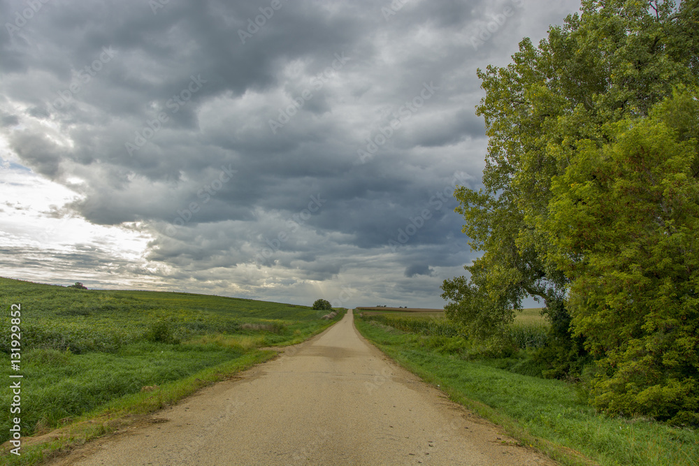 Fototapeta premium Rural Road