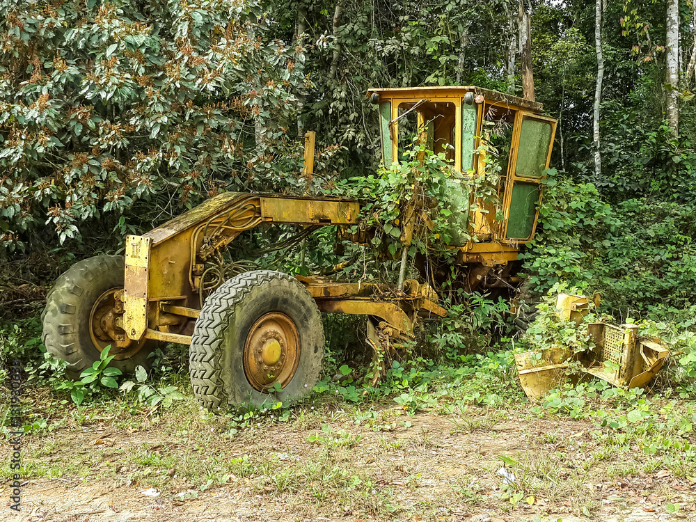 Abandoned yellow grader overgrown by jungle vegetation near border between Nigeria and Cameroon, Africa